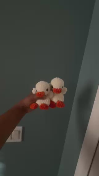 Mini Ducks